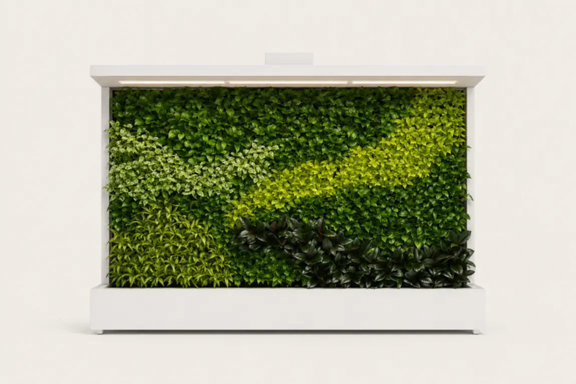 Tropical green walls. preview