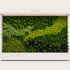 Tropical green walls. 3D model