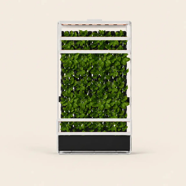 Grow Rack