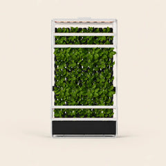 Grow racks. 3D model
