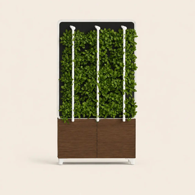 Standalone Grow Wall