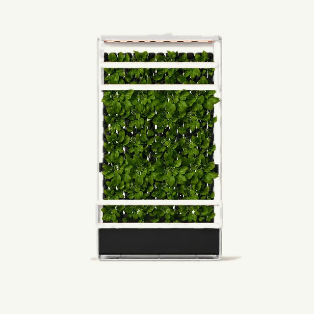 Grow Rack