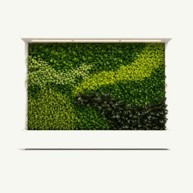 Tropical Green Wall