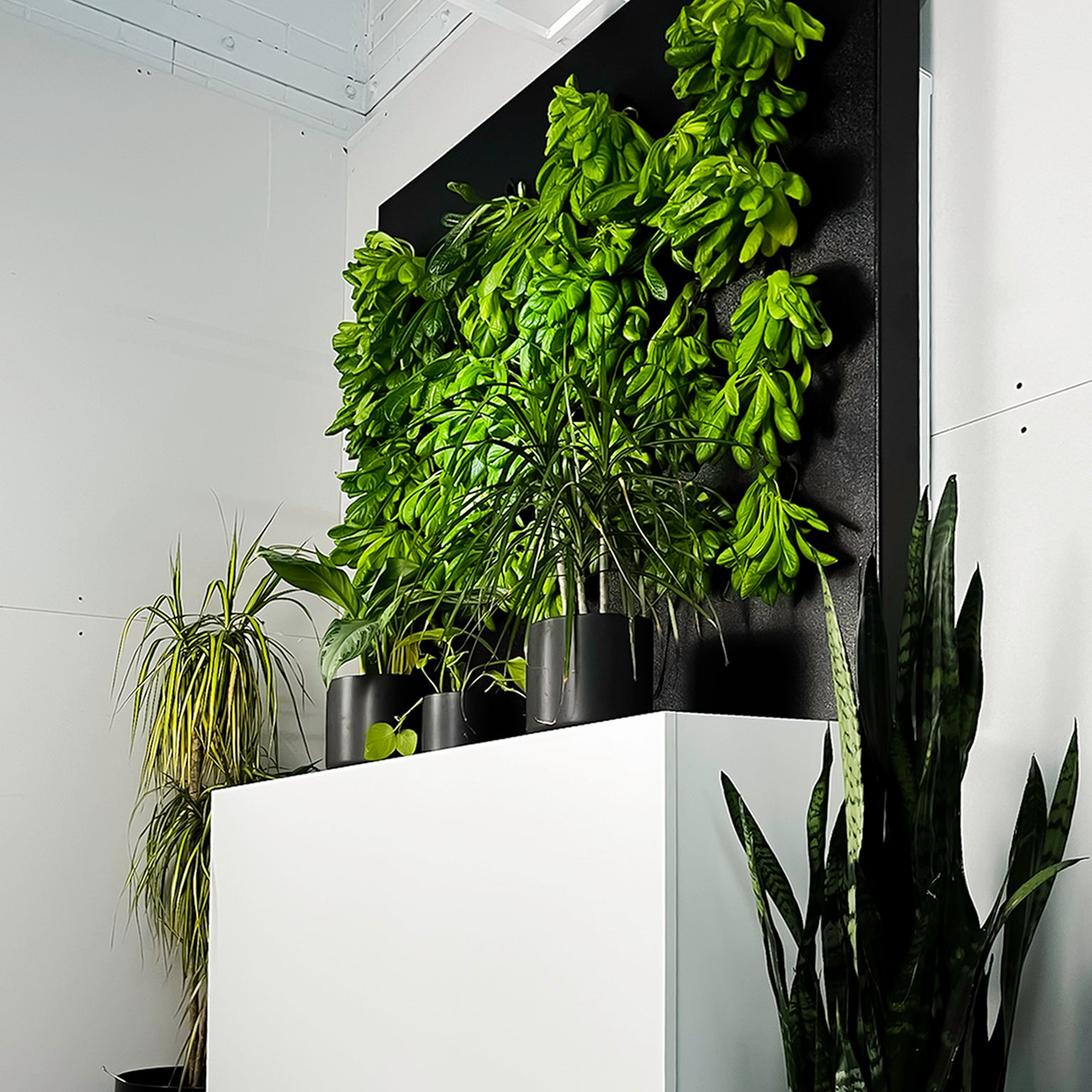 Grow Wall | Just Vertical Commercial